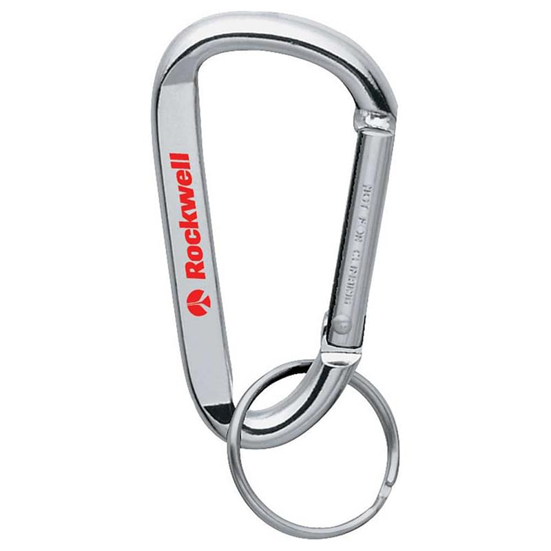 Small Carabiner Key Ring